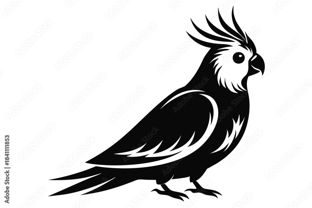 Fototapeta premium cockatiel silhouette line art vector illustration with a white background