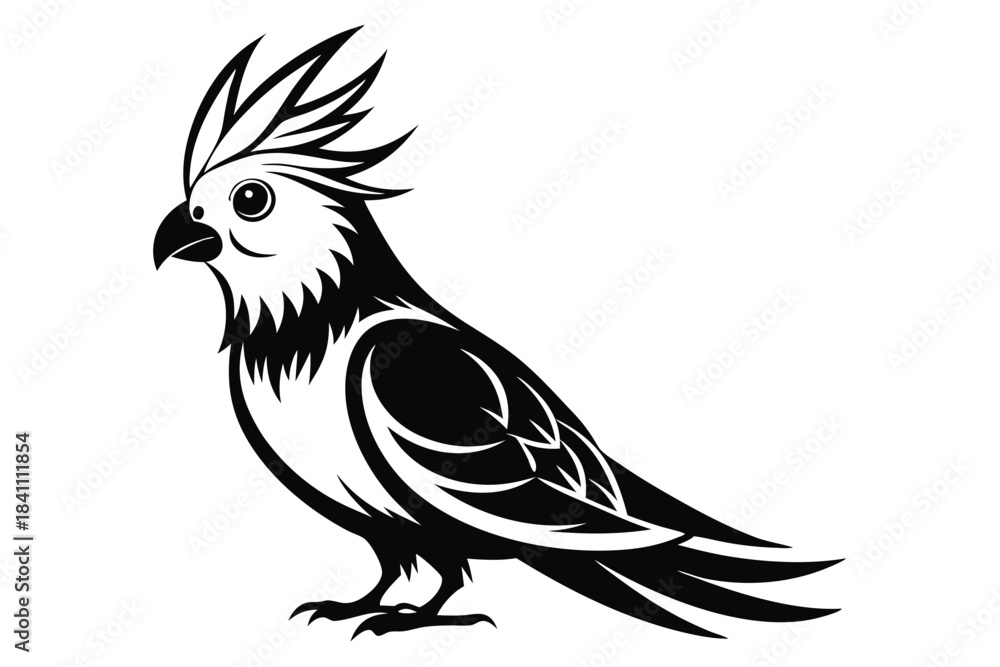 Fototapeta premium cockatiel silhouette line art vector illustration with a white background