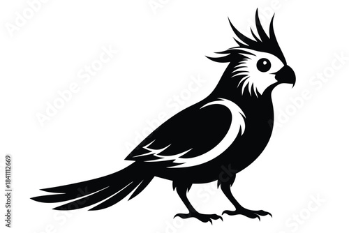 cockatiel silhouette line art vector illustration with a white background