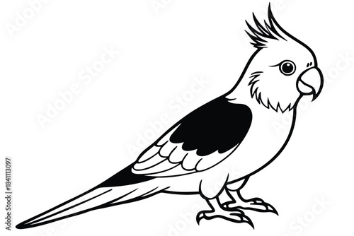 cockatiel silhouette line art vector illustration with a white background