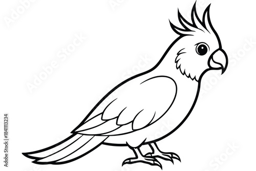 cockatiel silhouette line art vector illustration with a white background