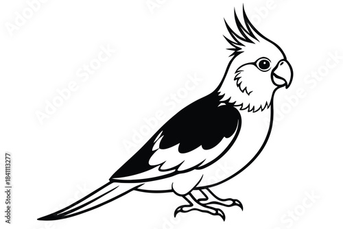 cockatiel silhouette line art vector illustration with a white background