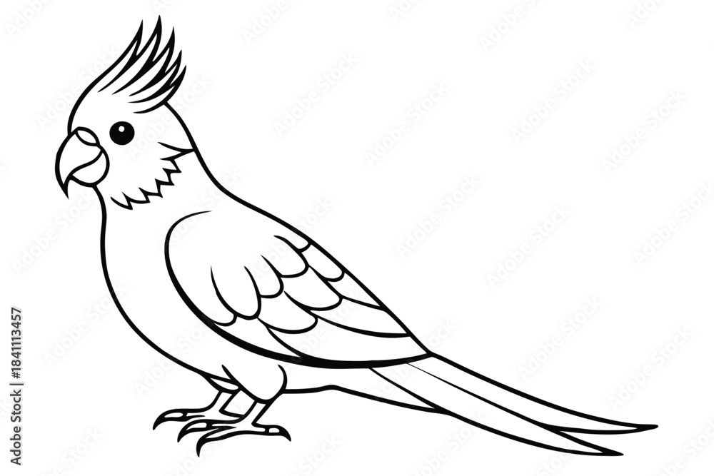 Obraz premium cockatiel silhouette line art vector illustration with a white background