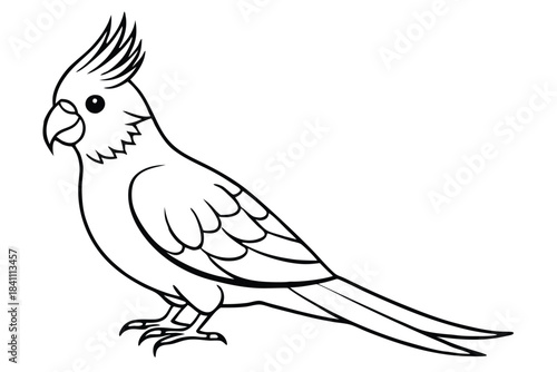 cockatiel silhouette line art vector illustration with a white background
