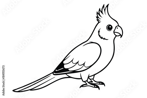 cockatiel silhouette line art vector illustration with a white background