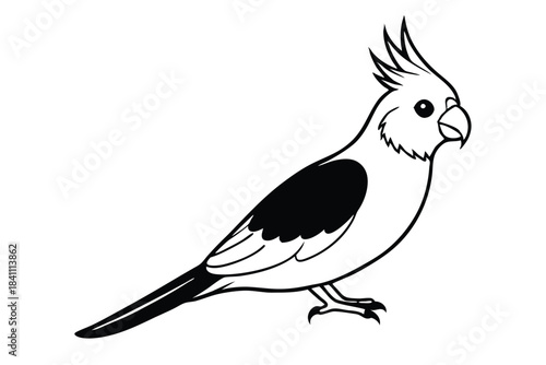 cockatiel silhouette line art vector illustration with a white background