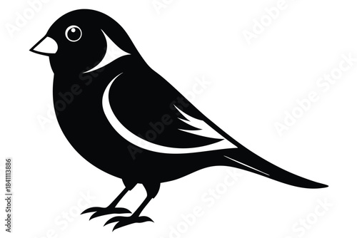 canary silhouette line art vector illustration with a white background