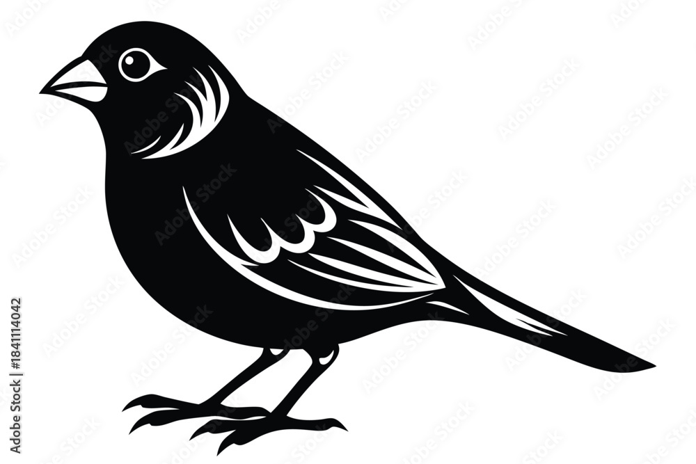 Fototapeta premium canary silhouette line art vector illustration with a white background