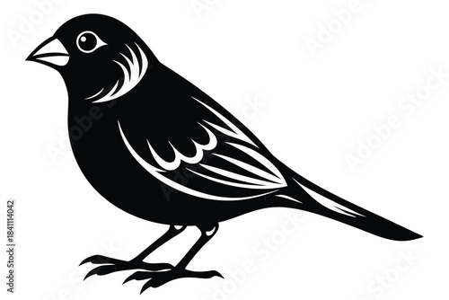 canary silhouette line art vector illustration with a white background