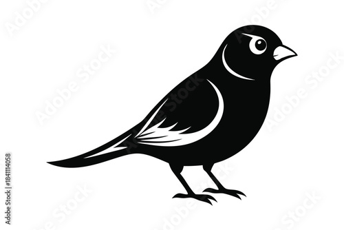 canary silhouette line art vector illustration with a white background