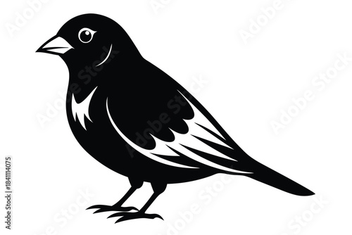 canary silhouette line art vector illustration with a white background