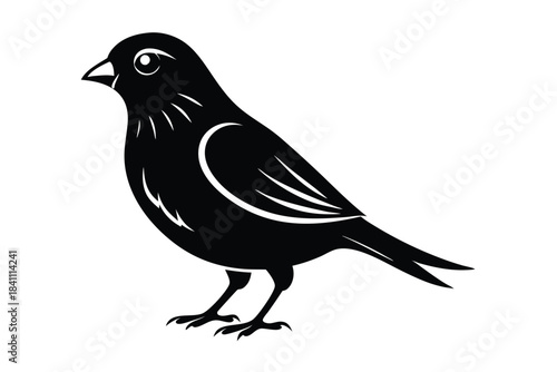 canary silhouette line art vector illustration with a white background