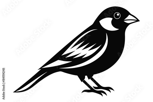 canary silhouette line art vector illustration with a white background