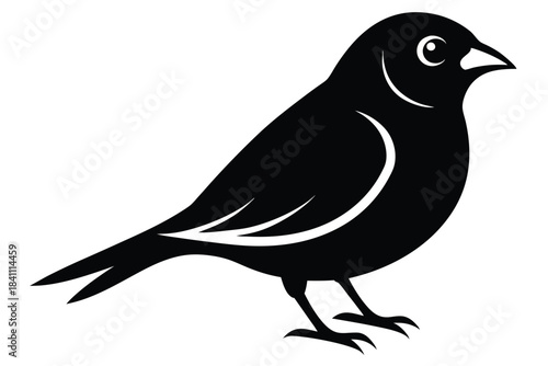 canary silhouette line art vector illustration with a white background