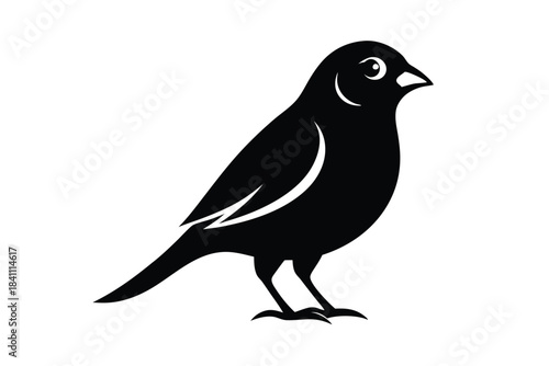 canary silhouette line art vector illustration with a white background