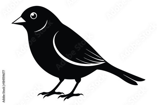 canary silhouette line art vector illustration with a white background