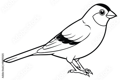 canary silhouette line art vector illustration with a white background