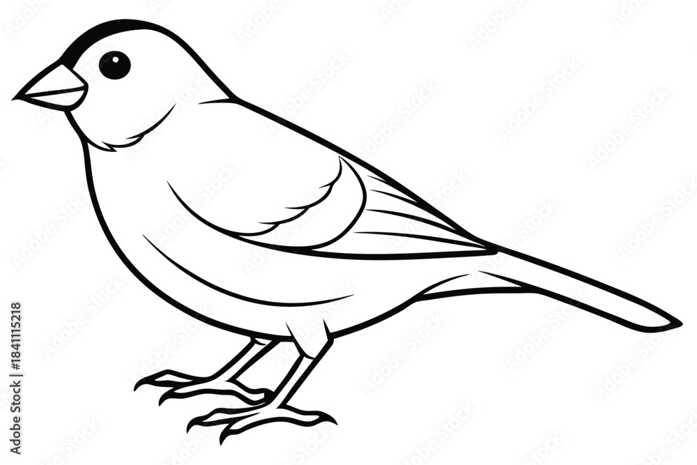 Fototapeta premium canary silhouette line art vector illustration with a white background