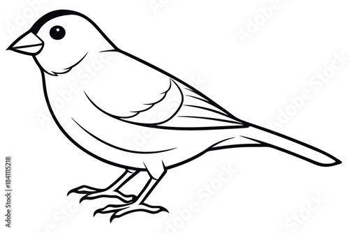 canary silhouette line art vector illustration with a white background