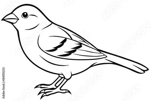 canary silhouette line art vector illustration with a white background