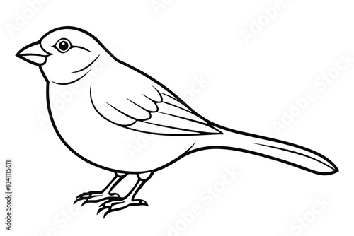 canary silhouette line art vector illustration with a white background