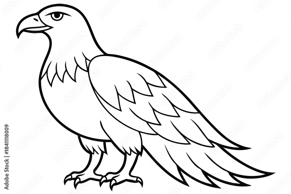 Obraz premium eagle silhouette line art vector illustration with a white background