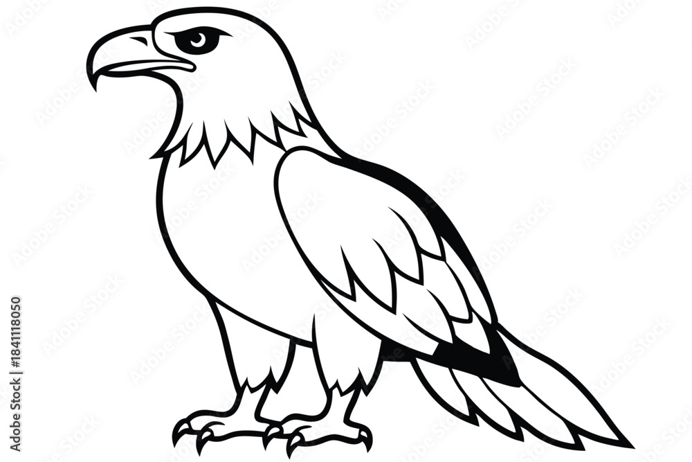 Obraz premium eagle silhouette line art vector illustration with a white background