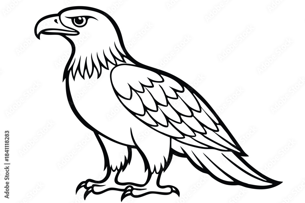 Obraz premium eagle silhouette line art vector illustration with a white background