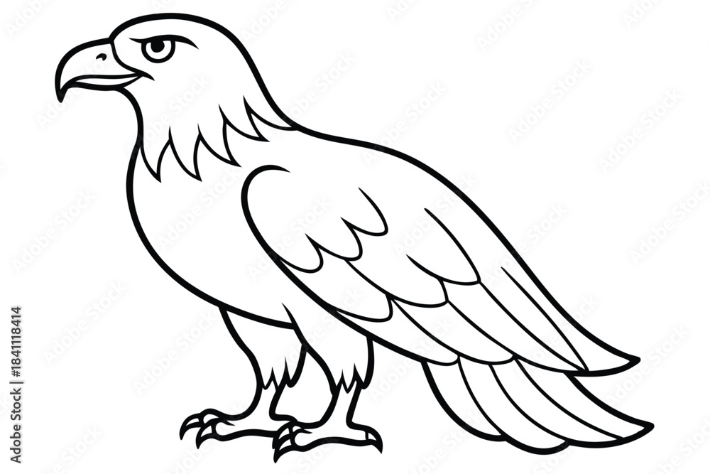 Obraz premium eagle silhouette line art vector illustration with a white background