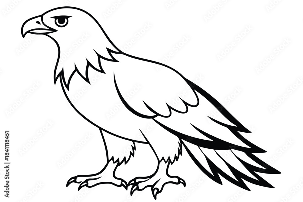 Obraz premium eagle silhouette line art vector illustration with a white background
