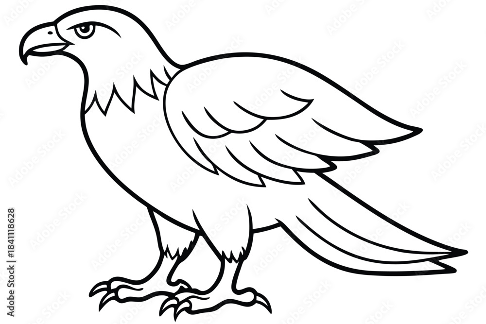Obraz premium eagle silhouette line art vector illustration with a white background