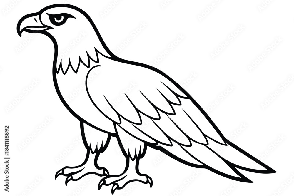 Obraz premium eagle silhouette line art vector illustration with a white background