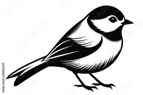 chickadee silhouette line art vector illustration with a white background