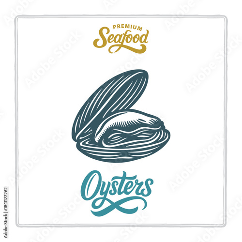 Hand drawn oysters in vintage engraving style with premium seafood and oysters lettering. Classic design for seafood branding themes. Perfect for menus, labels, and packaging. Part of set.