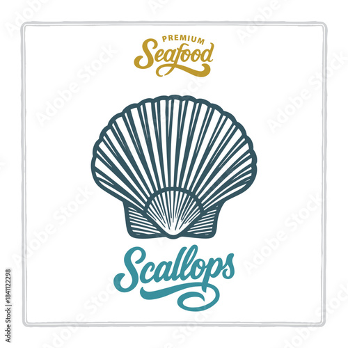 Hand drawn scallops in vintage engraving style with premium seafood and scallops lettering. Classic design for seafood branding themes. Perfect for menus, labels, and packaging. Part of set.