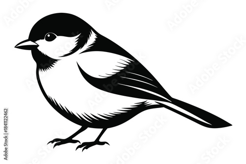 chickadee silhouette line art vector illustration with a white background