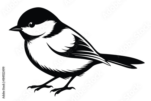 chickadee silhouette line art vector illustration with a white background