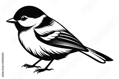 chickadee silhouette line art vector illustration with a white background