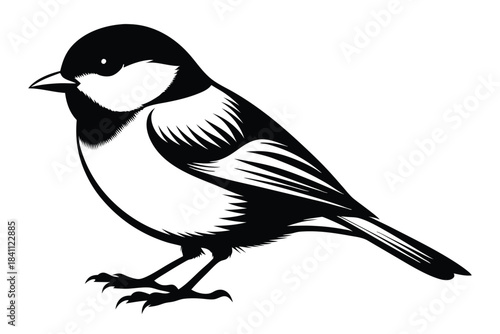 chickadee silhouette line art vector illustration with a white background