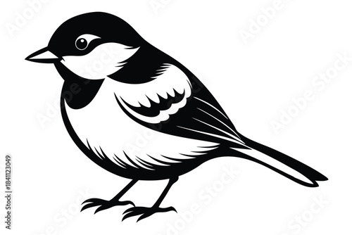 chickadee silhouette line art vector illustration with a white background