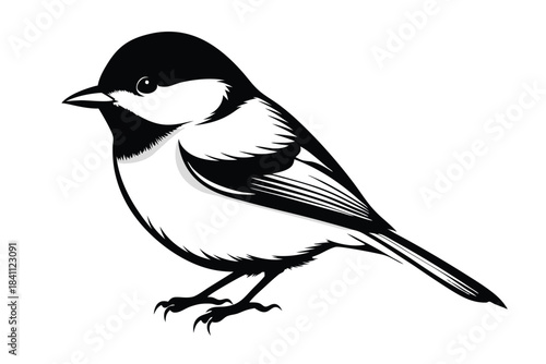 chickadee silhouette line art vector illustration with a white background