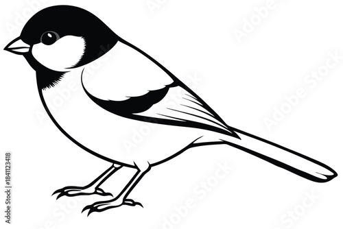 chickadee silhouette line art vector illustration with a white background