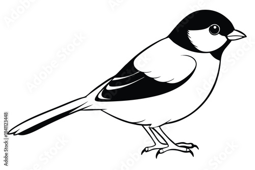 chickadee silhouette line art vector illustration with a white background