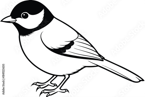 chickadee silhouette line art vector illustration with a white background
