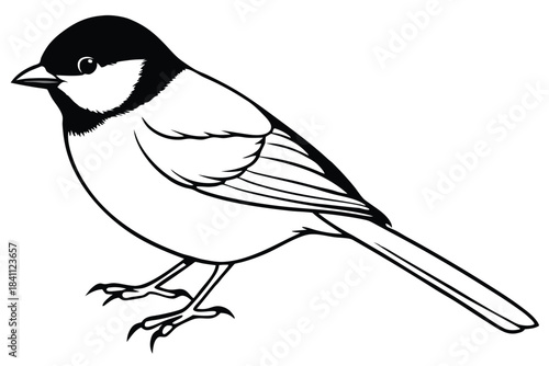 chickadee silhouette line art vector illustration with a white background
