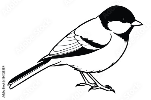 chickadee silhouette line art vector illustration with a white background