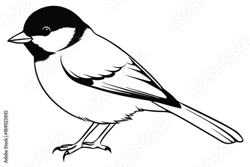chickadee silhouette line art vector illustration with a white background