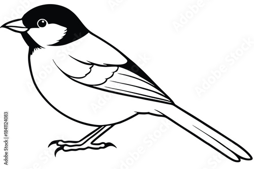 chickadee silhouette line art vector illustration with a white background