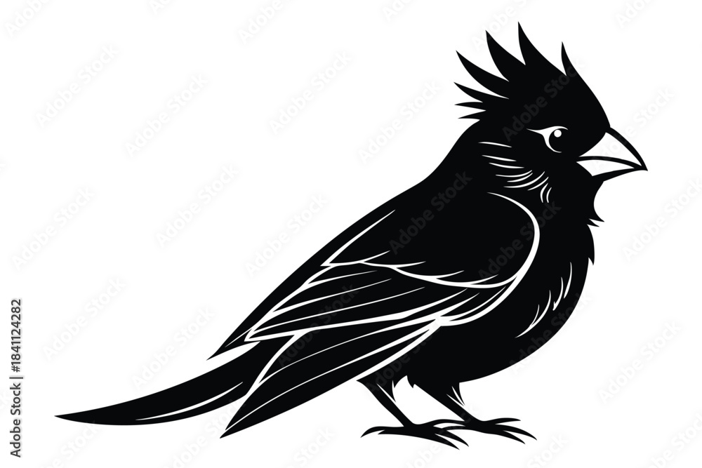 Obraz premium cardinal silhouette line art vector illustration with a white background