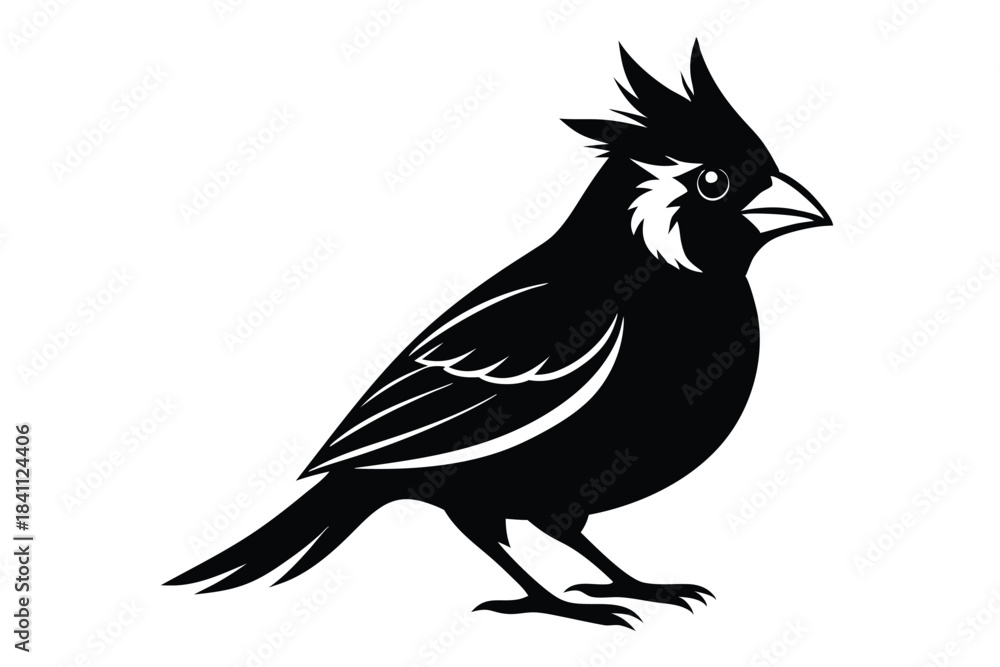 Obraz premium cardinal silhouette line art vector illustration with a white background